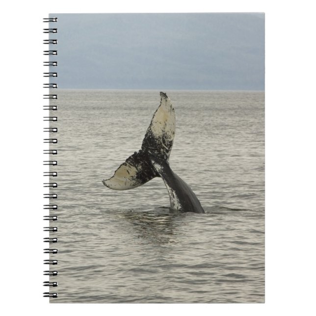 North America, USA, AK, Inside Passage. Humpback Spiral Notebook (Front)