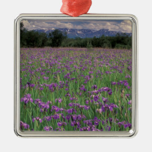 North America, USA, Alaska, Anchorage, Eklutna Metal Tree Decoration