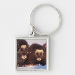 North America, USA, Alaska, Arctic Circle, Key Ring
