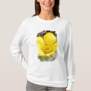 North America, USA, Alaska, Denali National T-Shirt