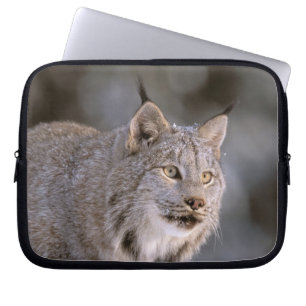 North America, USA, Alaska, Haines. Lynx (Felis 2 Laptop Sleeve