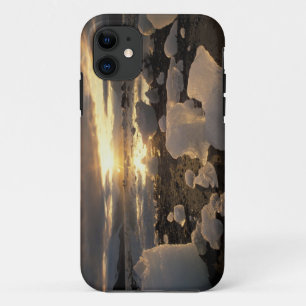 North America, USA, Alaska, Ice Bay, Icescape, Case-Mate iPhone Case