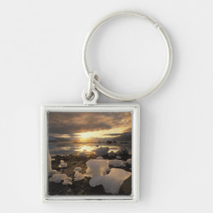 North America, USA, Alaska, Ice Bay, Icescape, Key Ring