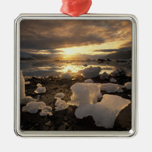 North America, USA, Alaska, Ice Bay, Icescape, Metal Tree Decoration