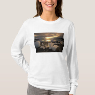 North America, USA, Alaska, Ice Bay, Icescape, T-Shirt