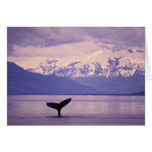 North America, USA, Alaska, Inside Passage.