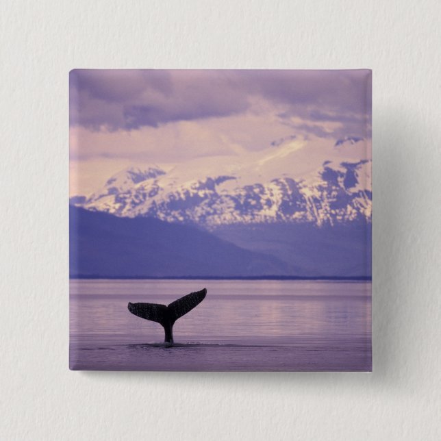 North America, USA, Alaska, Inside Passage. 15 Cm Square Badge (Front)