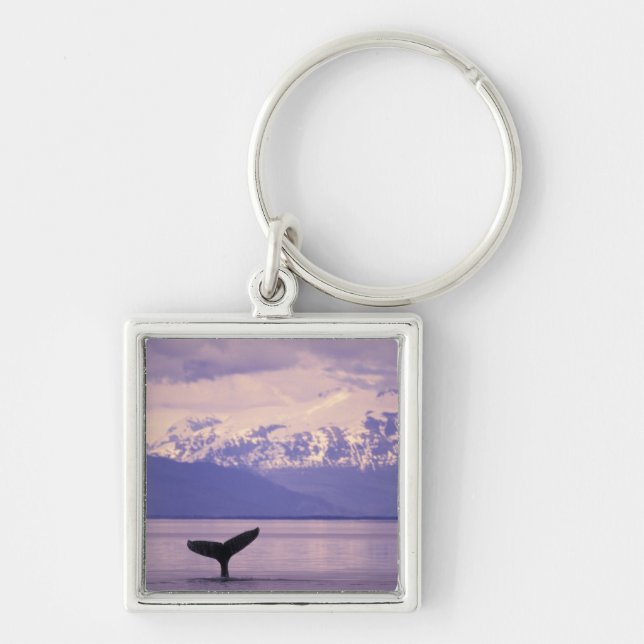 North America, USA, Alaska, Inside Passage. Key Ring (Front)