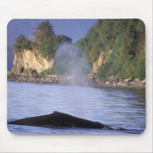 North America, USA, Alaska, Inside Passage. Mouse Pad