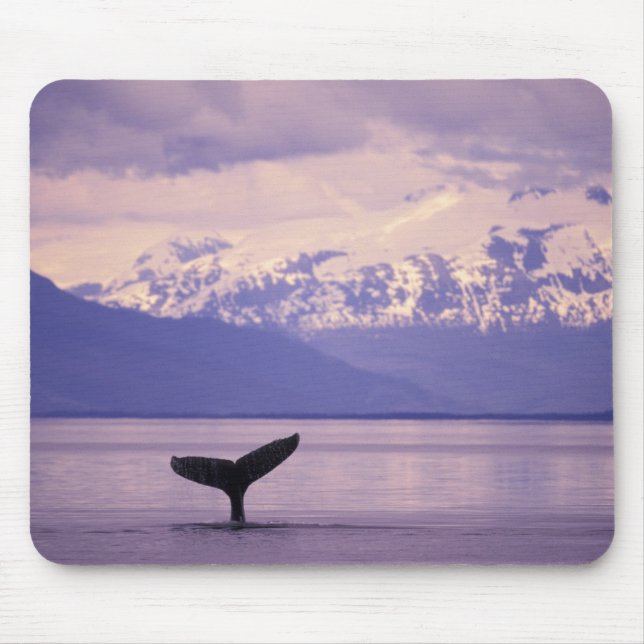 North America, USA, Alaska, Inside Passage. Mouse Pad (Front)