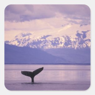 North America, USA, Alaska, Inside Passage. Square Sticker
