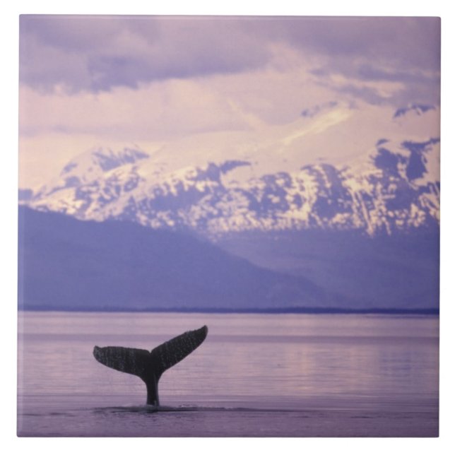 North America, USA, Alaska, Inside Passage. Tile (Front)