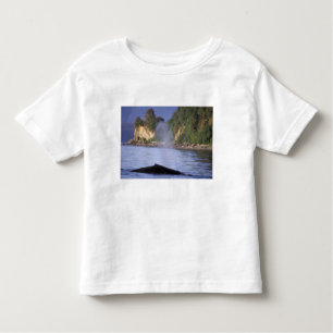 North America, USA, Alaska, Inside Passage. Toddler T-Shirt