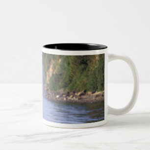 North America, USA, Alaska, Inside Passage. Two-Tone Coffee Mug