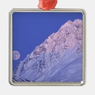 North America, USA, Alaska, Knik River, Metal Tree Decoration