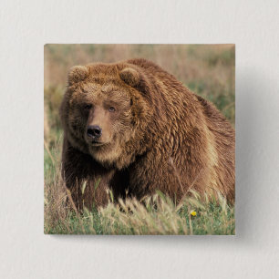 North America, USA, Alaska, Kodiak Island, 15 Cm Square Badge