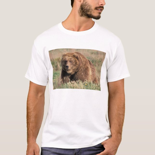 North America, USA, Alaska, Kodiak Island, T-Shirt (Front)