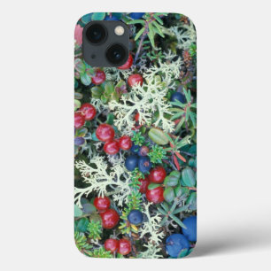 North America, USA, Alaska, Landscape, berries iPhone 13 Case