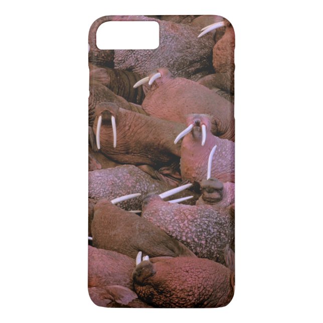 North America, USA, Alaska, Yukon Delta National Case-Mate iPhone Case (Back)