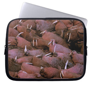 North America, USA, Alaska, Yukon Delta National Laptop Sleeve