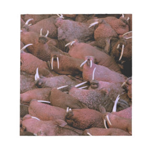North America, USA, Alaska, Yukon Delta National Notepad
