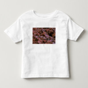 North America, USA, Alaska, Yukon Delta National Toddler T-Shirt