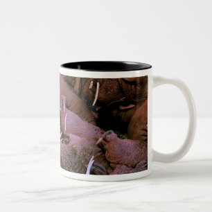 North America, USA, Alaska, Yukon Delta National Two-Tone Coffee Mug