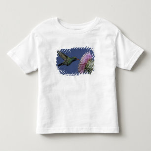 North America, USA, Arizona. Broad-billed Toddler T-Shirt