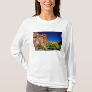 North America, USA, Arizona, Navajo Indian 3 T-Shirt