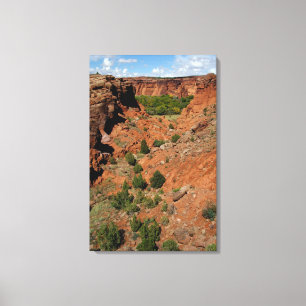 North America, USA, Arizona, Navajo Indian Canvas Print