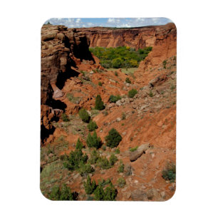North America, USA, Arizona, Navajo Indian Magnet