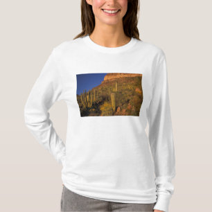North America, USA, Arizona, Organ Pipe Cactus 2 T-Shirt