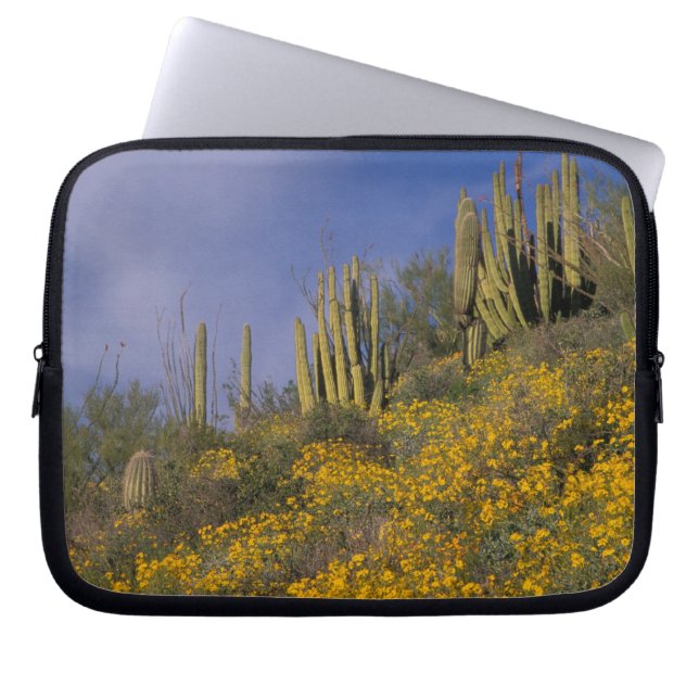 North America, USA, Arizona, Organ Pipe Cactus Laptop Sleeve (Front)