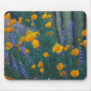 North America, USA, Arizona, Organ Pipe Cactus Mouse Pad