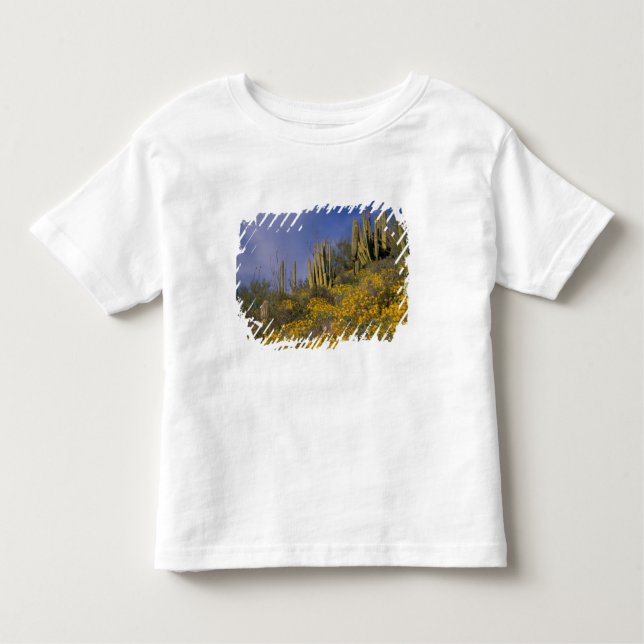 North America, USA, Arizona, Organ Pipe Cactus Toddler T-Shirt (Front)
