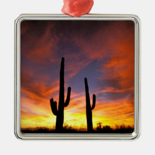 North America, USA, Arizona, Sonoran Desert. Metal Tree Decoration
