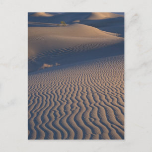 North America, USA, Califorinia, Death Valley Postcard