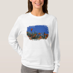 North America, USA, California, Antelope Valley, 3 T-Shirt