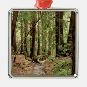 North America, USA, California, Big Sur, 3 Metal Tree Decoration