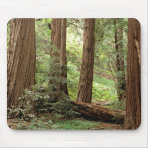 North America, USA, California, Big Sur, Mouse Pad