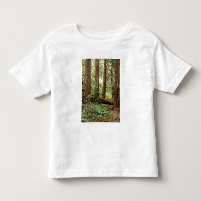 North America, USA, California, Big Sur, Toddler T-Shirt (Front)