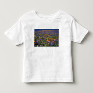 North America, USA, California, Los Angeles 2 Toddler T-Shirt