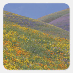 North America, USA, California, Los Angeles Square Sticker