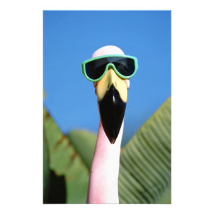 North America, USA, California, San Diego. Sea Photo Print