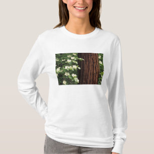 North America, USA, California, Yosemite 3 T-Shirt