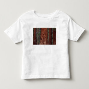 North America, USA, California, Yosemite NP, 2 Toddler T-Shirt