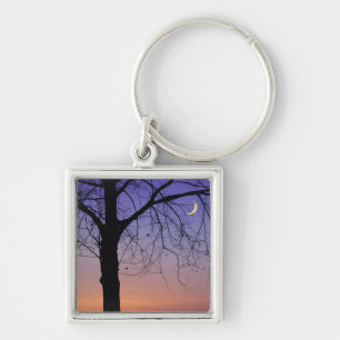 North America, USA, Florida, Mt. Dora, the Key Ring