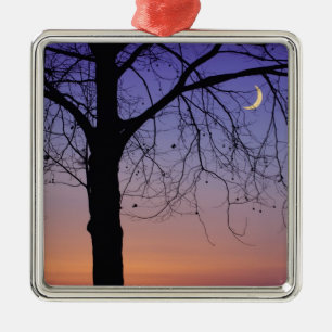 North America, USA, Florida, Mt. Dora, the Metal Tree Decoration