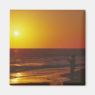 North America, USA, Florida, Sanibel Island. Magnet