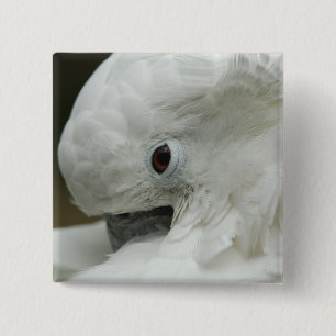 North America, USA, Florida, St. Augustine 15 Cm Square Badge